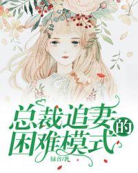 总裁追妻心酸史