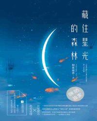 藏起来得星光