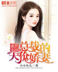 总裁的心尖娇妻