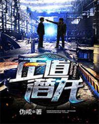 正道潜龙百度百科
