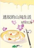 逃奴的山间生活讲的什么