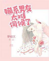 猫系男友全文