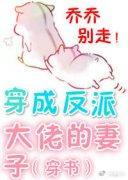 穿成反派大佬的妻子穿书全文阅读