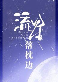 流星落枕边(1v1 h)作者紫苏鱼