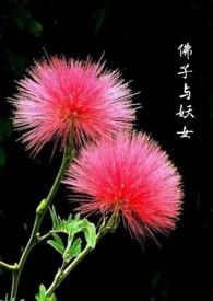 佛子与妖女(GB女攻)最新章节_