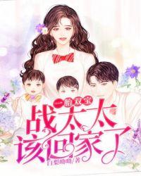 一胎两宝帝少的千亿娇妻