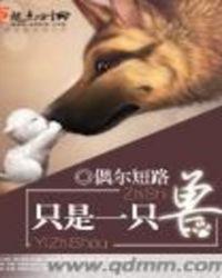 只是一条狗