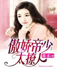 傲娇帝少轻轻宠无弹窗