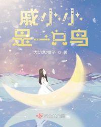 小小一只鸟黄色黑色