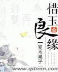 惜玉斋主人
