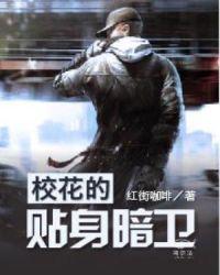 我的贴身校花改编