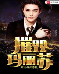 玛丽苏的梗含义