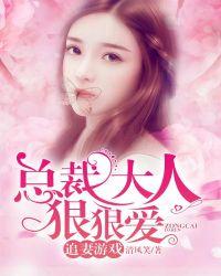 总裁追妻太费劲