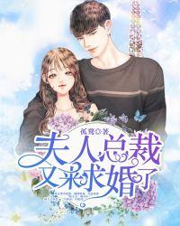 夫人总裁又跑了