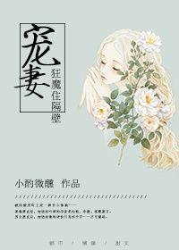 宠妻狂魔笔趣阁