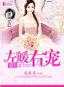 类似重生之左暖右宠的