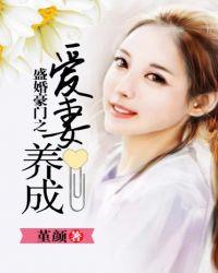 盛爱豪门少夫人免费全文阅读