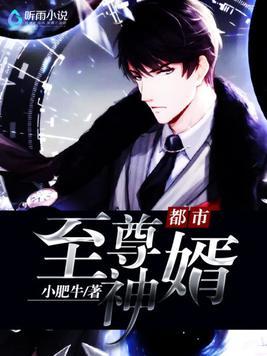 都市至尊神婿百度百科