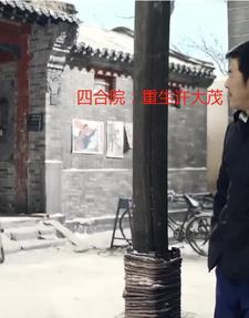 四合院重生许大茂幼年