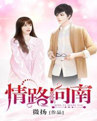 情路向南内容