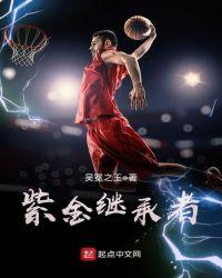 nba紫金传承者