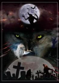 此岸风情作者银蛇