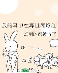 我的马甲遍世界