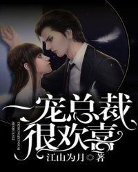 总裁一宠到底全文免费阅读