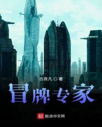 冒牌专家的国产电影
