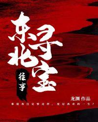 东北寻宝往事笔趣阁免费阅读