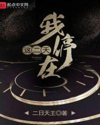 我停在这二天二日天王