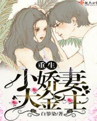 重生之小妻大金主