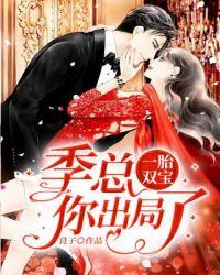 一胎双宝老婆大人别想逃