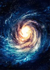 雪菊花泡水喝的功效与作用