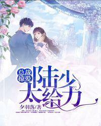 陆总裁宠妻太甜蜜