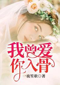 我曾爱你入骨(卢梦灵)