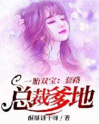 一胎双宝总裁套路深