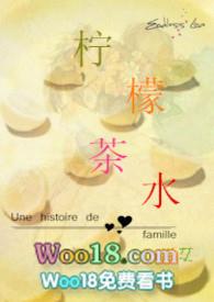 柠檬茶水怎么制作