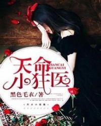 天命狂医叶远护国神医