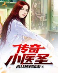 医圣传奇