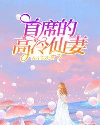 首席老公高冷帅免费阅读