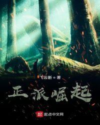 正派崛起TXT
