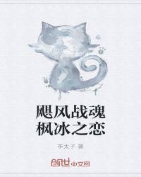 战斗王之飓风战魂冰枫之恋
