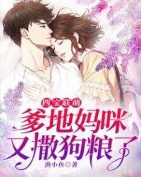 四宝来袭爹地请赐教