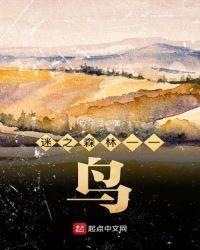 迷之森林作弊码大全