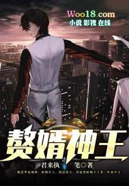 赘婿神王完本TXT