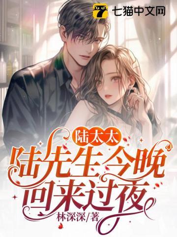 陆先生今晚回家过夜结局