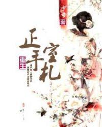 重生之正室手札