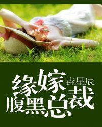 嫁给腹黑总裁免费阅读