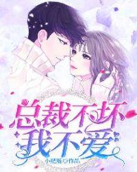 总裁不坏我不爱免费